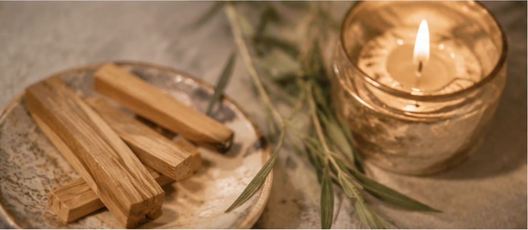 Palo Santo: History, Uses, Smoke Cleansing, and How to Use It