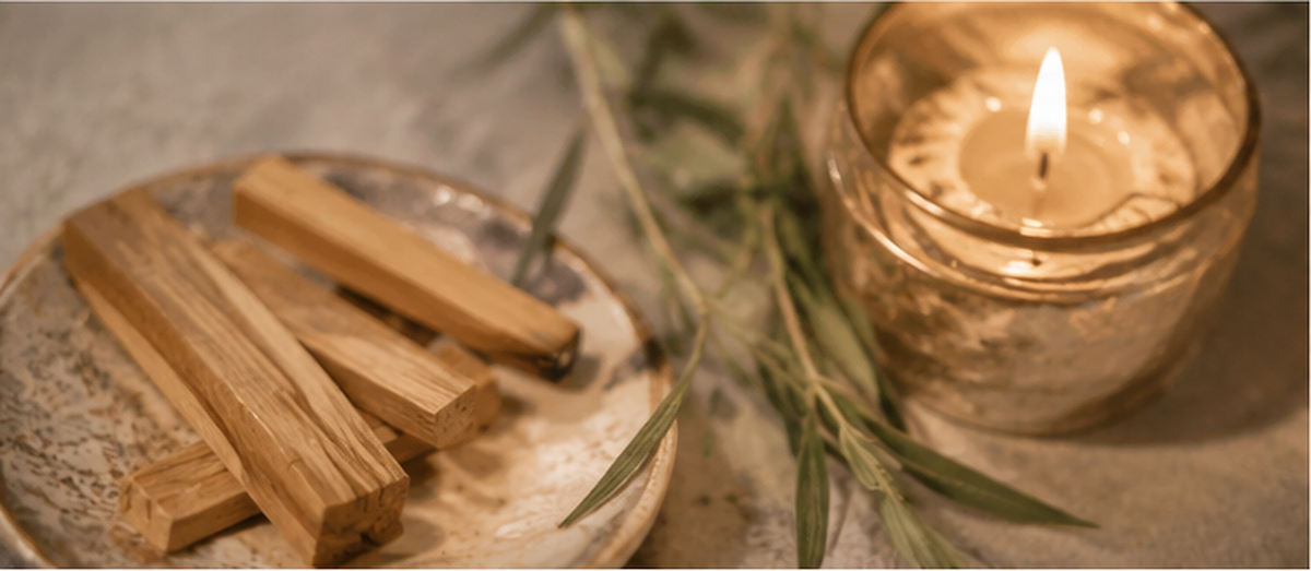 Palo Santo: History, Uses, Smoke Cleansing, and How to Use It